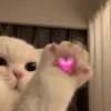 💖💖 O amor está no ar 💖💖 9