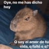 Animales Random 2🌸💥 28