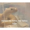 Nájila, a heroína de bsb 17