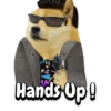 Hands Up!