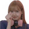 💗Lisa🖤 6