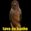 Macacos engraçados  5