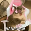 Animalitos🐾🥰 7