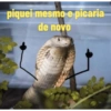 Nájila, a heroína de bsb 18