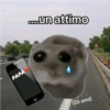 Cricetino Sad Hamster 16