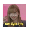 Sticker.ly Yani öyle işte