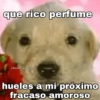 que rico perfume
@kawaiiposting
hueles a mi próximo
fracaso amoroso
