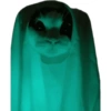 Gatos coringa 14