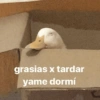 Animaladas Random🤪✨4 14
