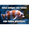 meus amigos são falsos
10
são todos plásticos