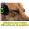 Perritos con canciones Sad 7
