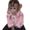Memes de animalitos ❤️‍🩹 11
