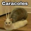 Caracoles @Harley Stickers