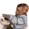 Y?