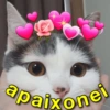 apaixonei