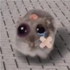 Cricetino Sad Hamster 14