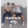 Ho detto a te !?!? 11
