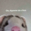 🐱🐹Animalitos Para Tu Chat📲💓 7