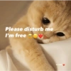 Cat love 18