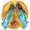 Shitpost emojis 1 28