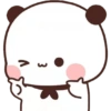 Panda lucu  8