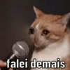 SELECIONADAS  6