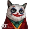 Gatos coringa 5