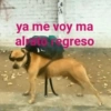 Algo Random 3👽👾 26