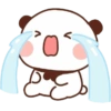 Panda lucu  13