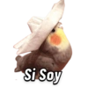 Memes pa’ Enviar 🔥🤡 6