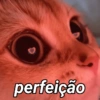 REAÇÃO TOP! 5