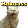 Bakwass