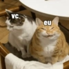 VC eu