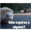 Hola esperas a
alguien?