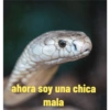 Nájila, a heroína de bsb 15