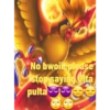 Pokemon 24