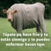 Cuadraditos pa usté 16