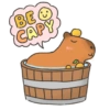 BE CAPY