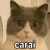 ATUALIZE SEUS MEMES  11