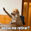 posso me retirar?
