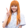💗Lisa🖤 11