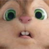 Memes cute 2😎 6