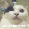 HAPPAAAHH???!!!!