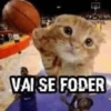 Gatinhos + reações 6