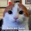 Algo Random 3👽👾 16