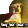 Soy todo oidos @kane stickers