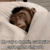 Me voy a dormir, cualquier cosa no me importa