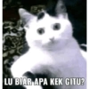 Berbie g skolah 14