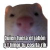 Memes Random V1 8