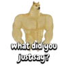 what did you
just say?